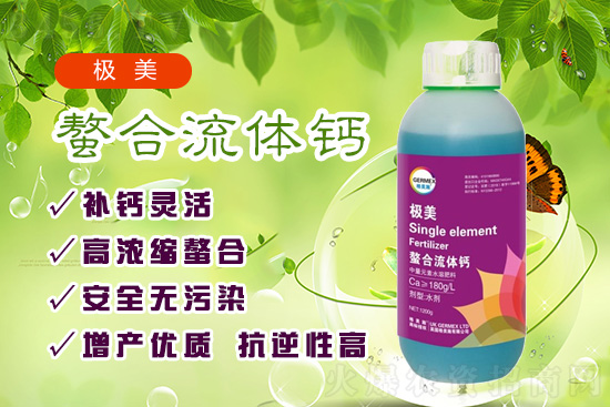 作物缺钙怎么补?格美施螯合流体钙效果怎么样? 作物缺钙怎么补?格美施螯合流体钙效果怎么样?